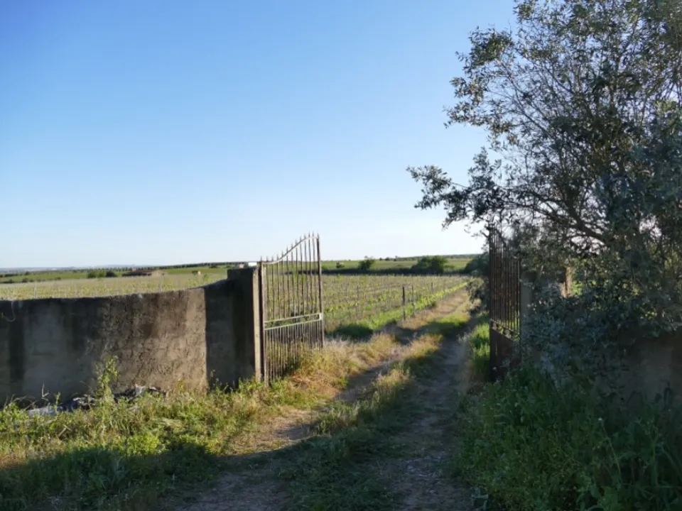 Granja a Cuba, Beja - foto 3