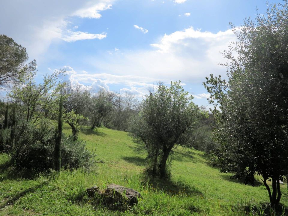 Landejendom i Civitella Paganico, Grosseto - foto 2