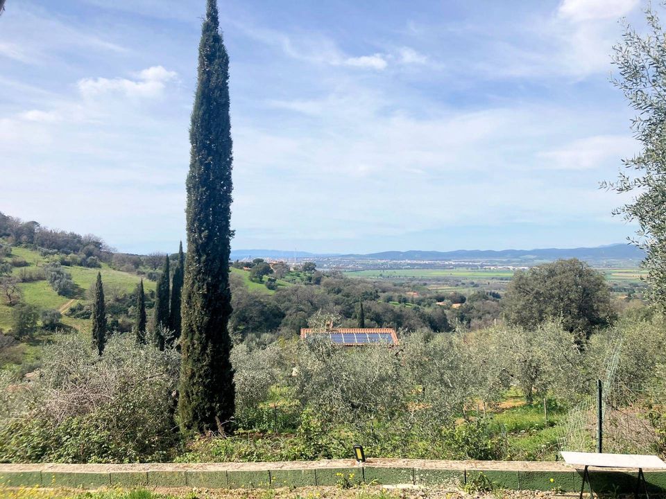 Landejendom i Scarlino, Grosseto - foto 2