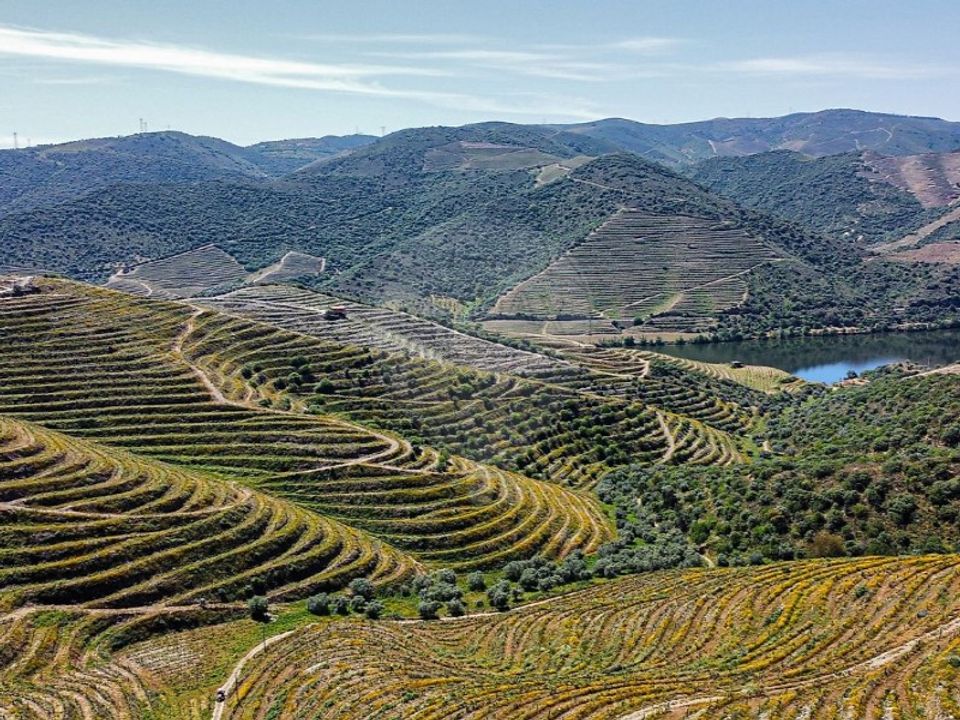 Farm i Loures, Lisbon - foto 1
