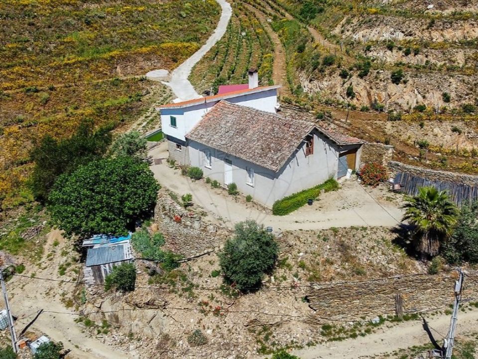 Farm i Loures, Lisbon - foto 5