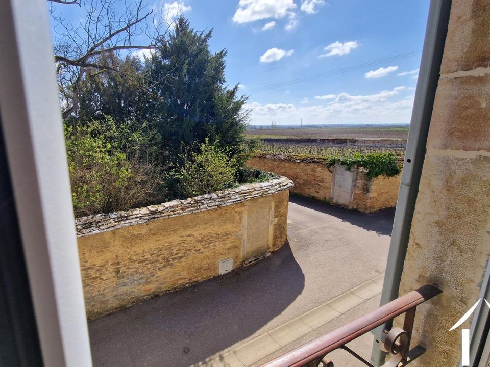 Villa i Pommard, Cote-d'Or - foto 5