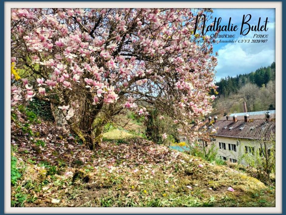 Lejlighed i Plombieres-les-Bains, Vosges - foto 1