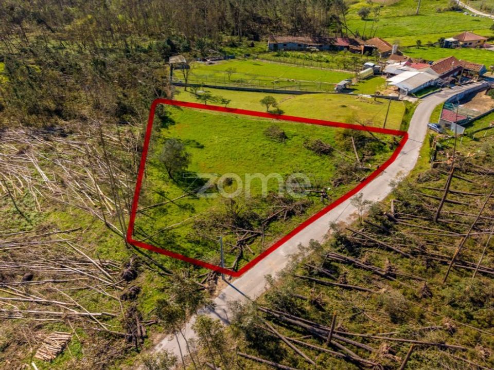 Helårsgrund i Souto da Carpalhosa e Ortigosa, Leiria - foto 1