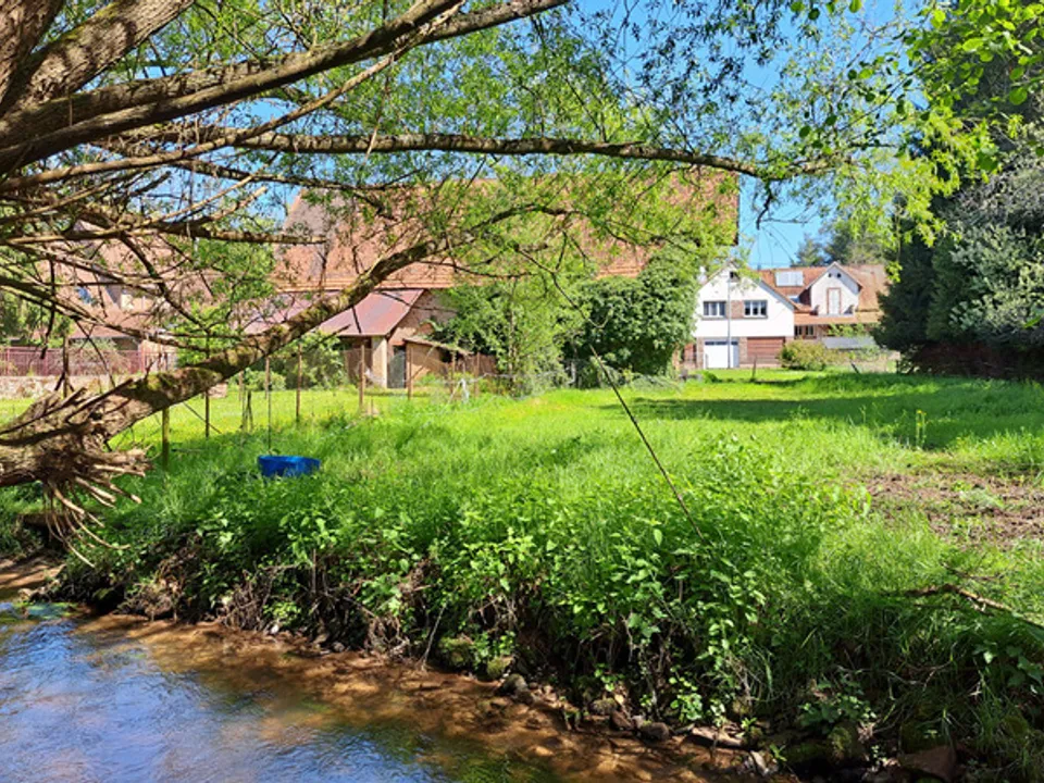 Farm hus i Wimmenau, Bas-Rhin - foto 1
