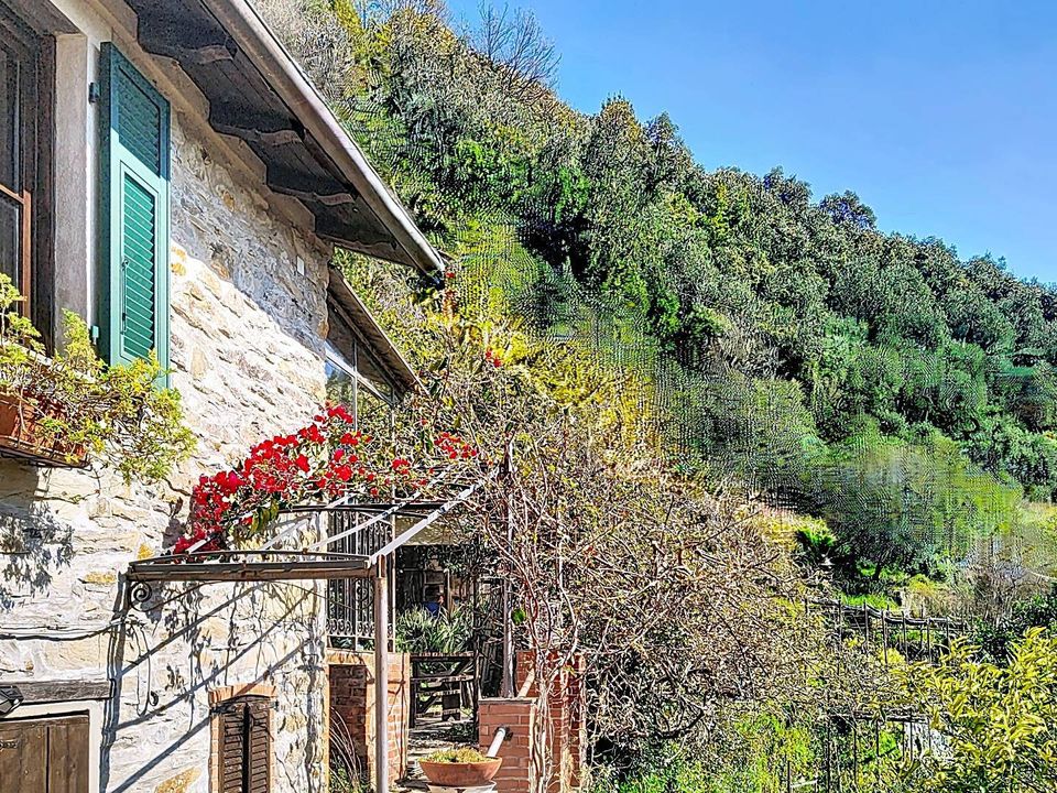 Villa in San Colombano Certenoli, Genoa - foto 1