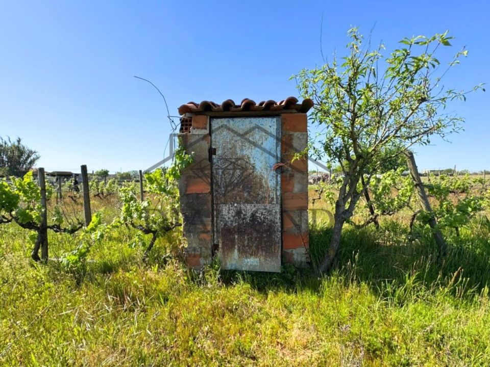 Tomt i Alpiarca, Santarem - bilde 2