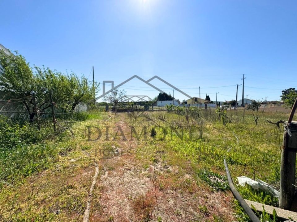 Tomt i Alpiarca, Santarem - bilde 4