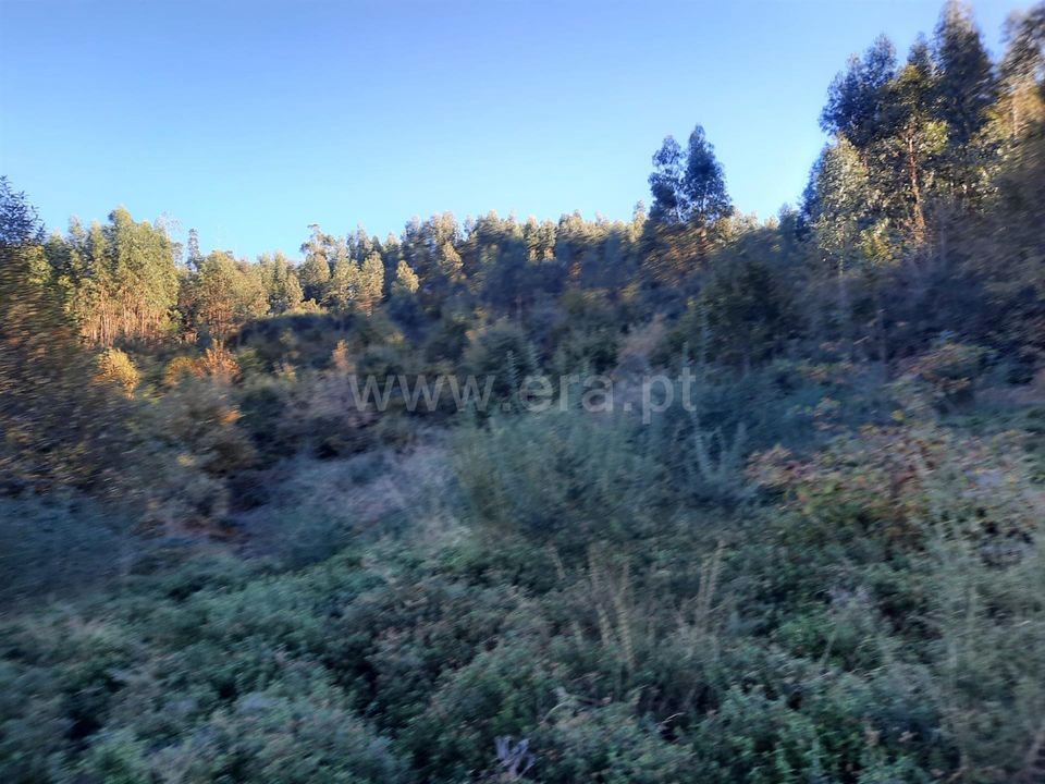 Helårsgrund i Povoa de Lanhoso, Braga - foto 1
