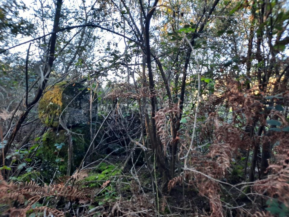 Helårsgrund i Povoa de Lanhoso, Braga - foto 4
