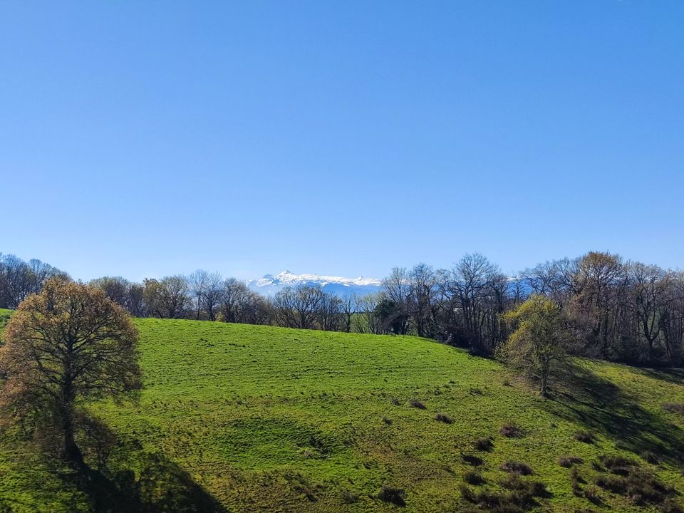 Villa i Lucq-de-Bearn, Pyrenees-Atlantiques - foto 3