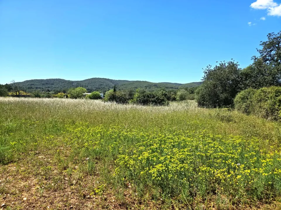 Helårsgrund i Sant Joan de Labritja, Ibiza - foto 2