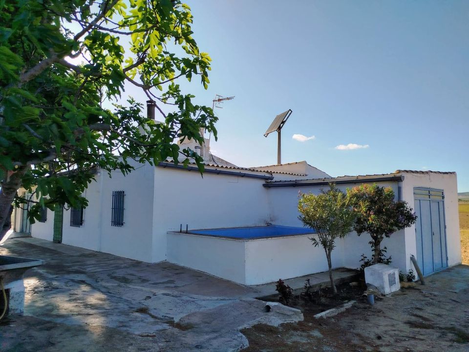 Landejendom i Yecla, Murcia - foto 3