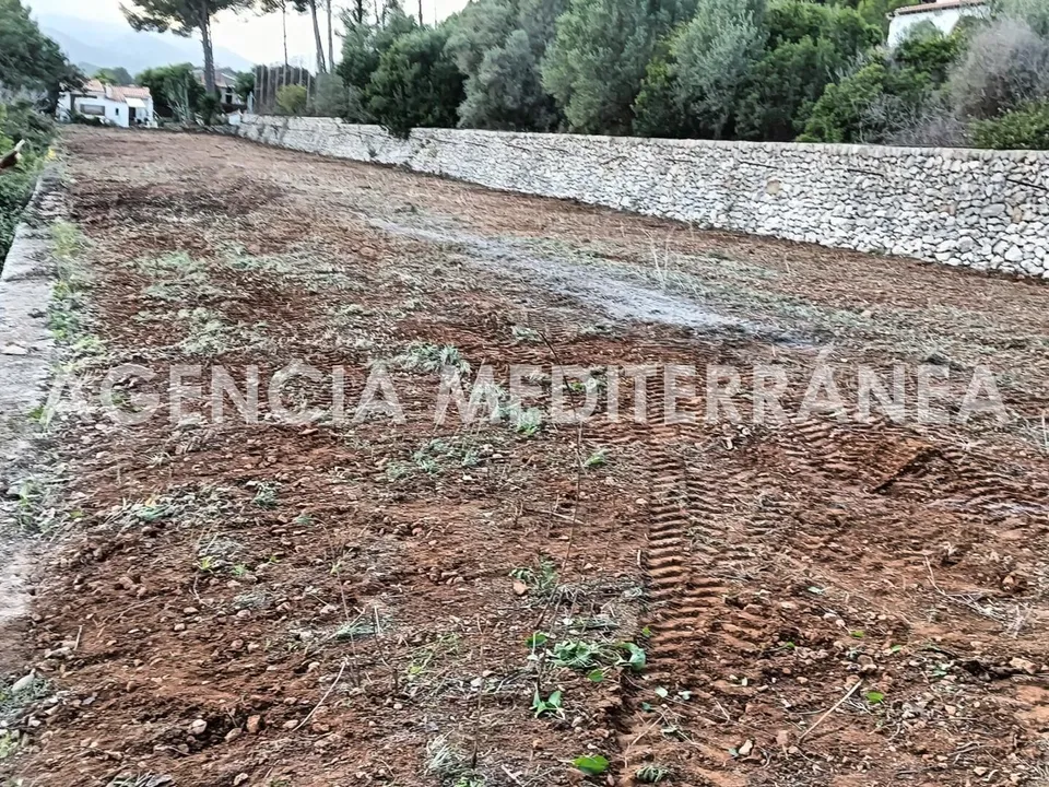 Tomt i Alcalali, Alicante - bilde 2