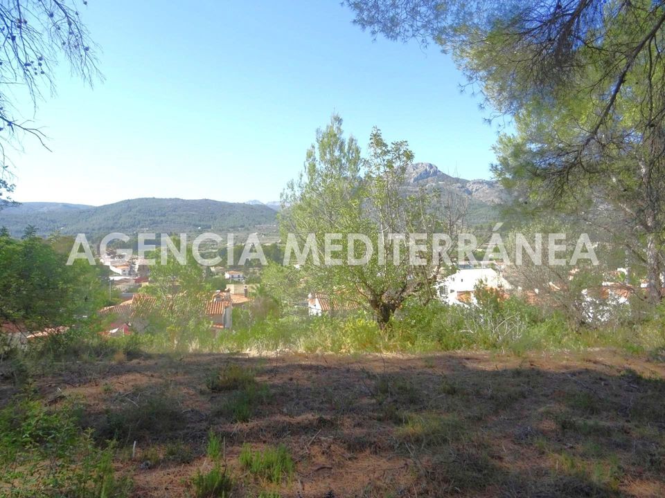 Tomt i Alcalali, Alicante - bilde 5