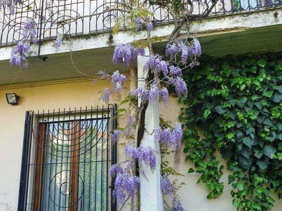 Villa i Vigevano, Pavia - foto 3