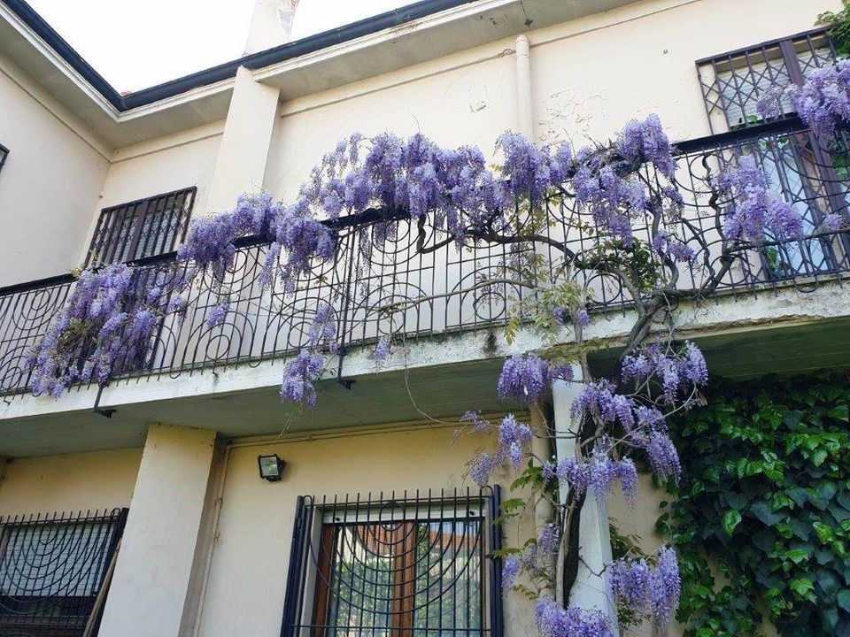 Villa i Vigevano, Pavia - foto 4