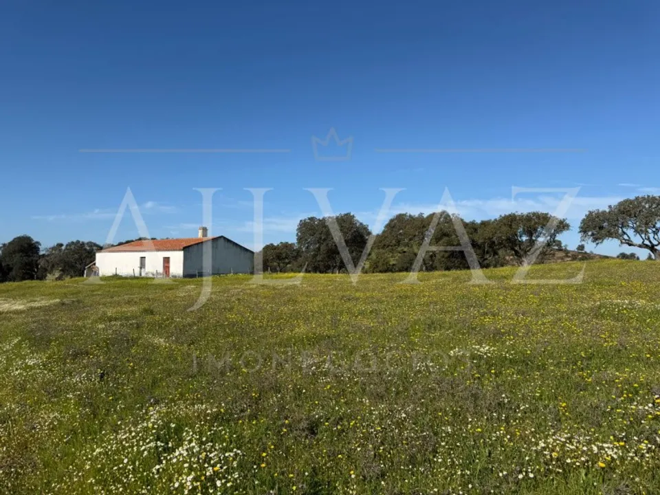 Farm i Messejana, Beja - foto 2