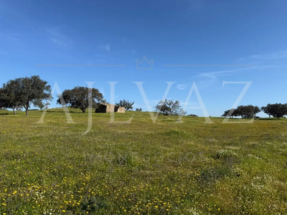 Farm i Messejana, Beja - foto 3