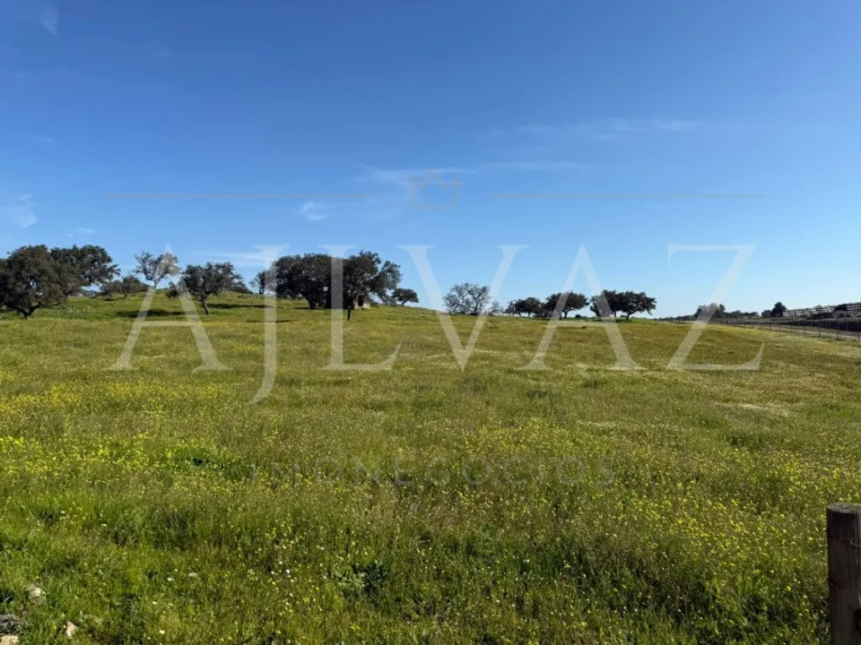 Farm i Messejana, Beja - foto 4