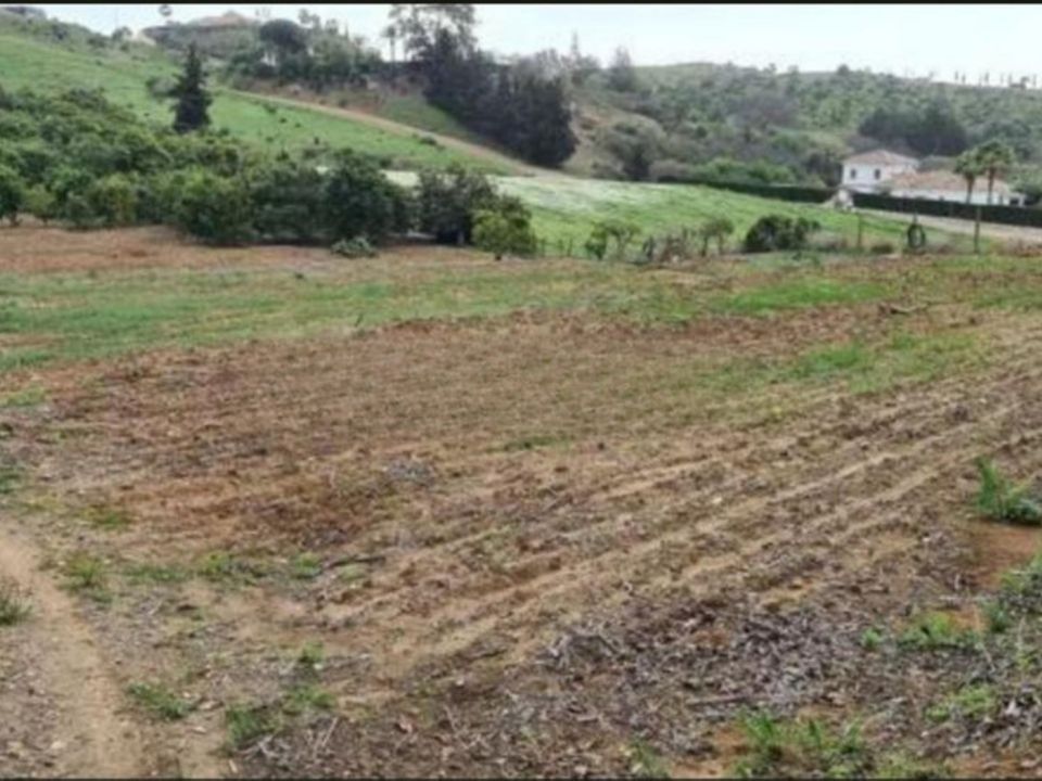 Finca i Campo Mijas, Malaga - foto 2