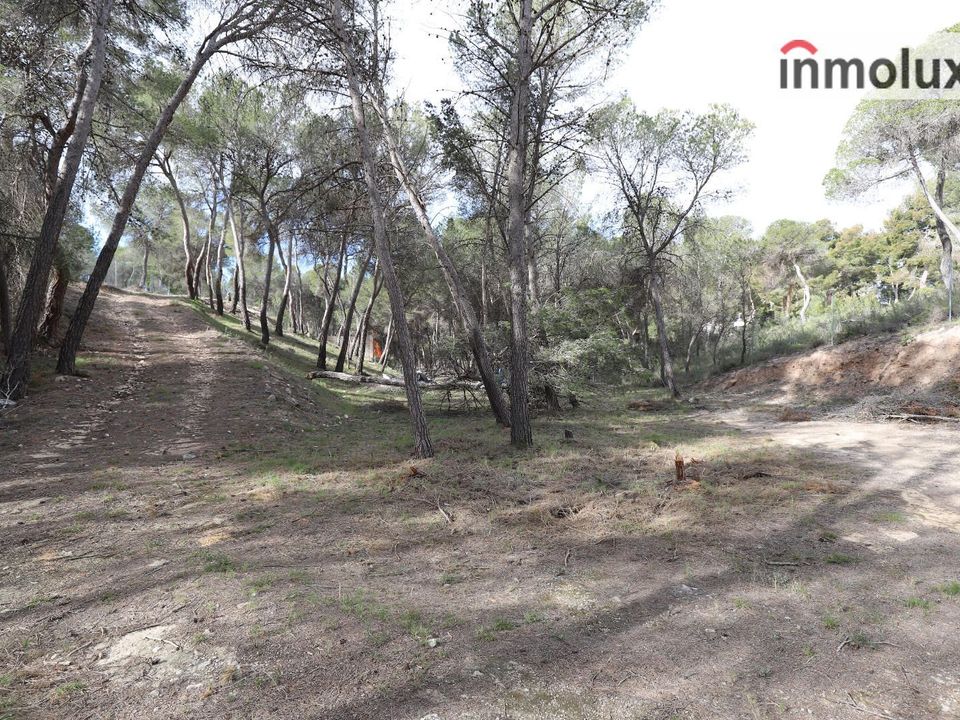 Finca i Tibi, Alicante - foto 4