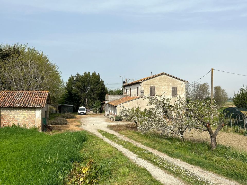 Villa i Gatteo, Forli-Cesena - bilde 1