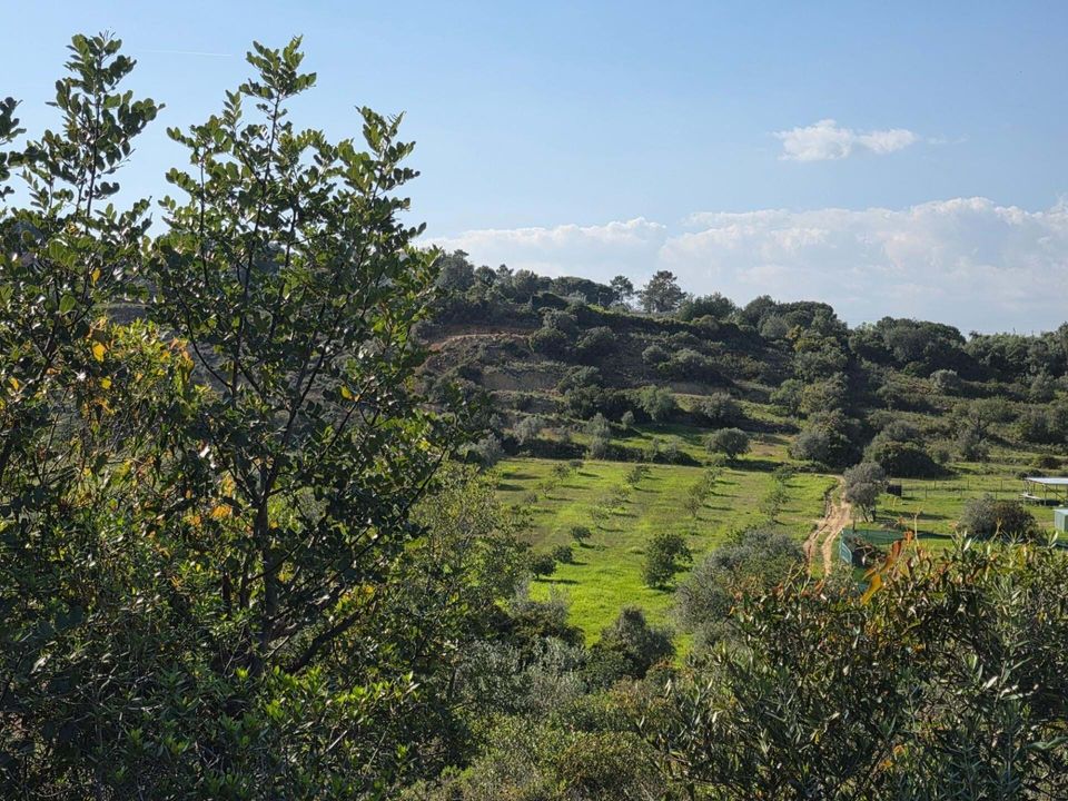 Helårsgrund i Lagoa, Faro - foto 1