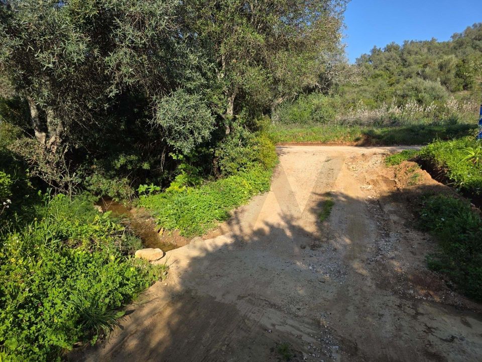 Helårsgrund i Lagoa, Faro - foto 5