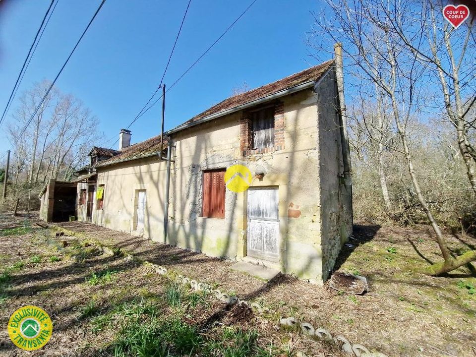 Villa i La Guerche-sur-l'Aubois, Cher - foto 1