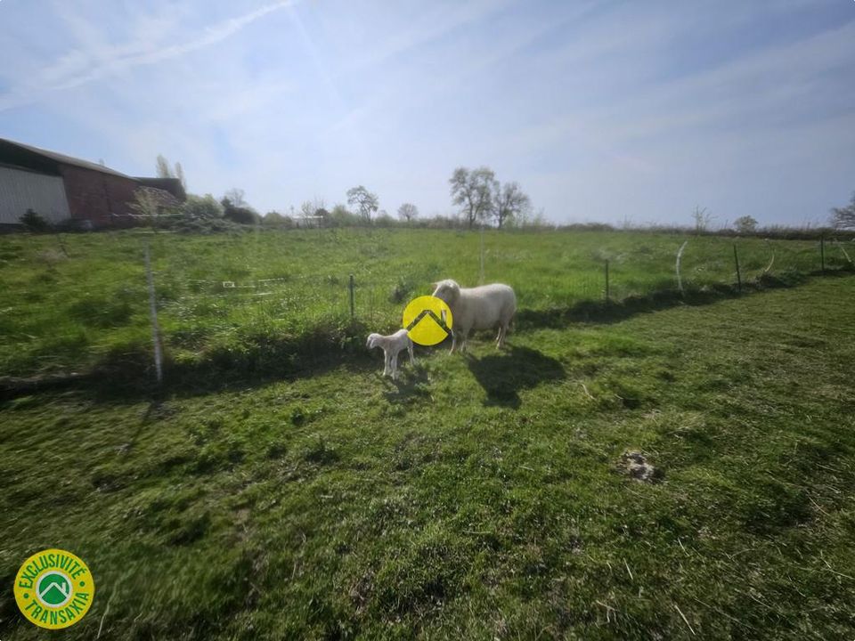 Herregård i Chassy, Cher - bilde 2