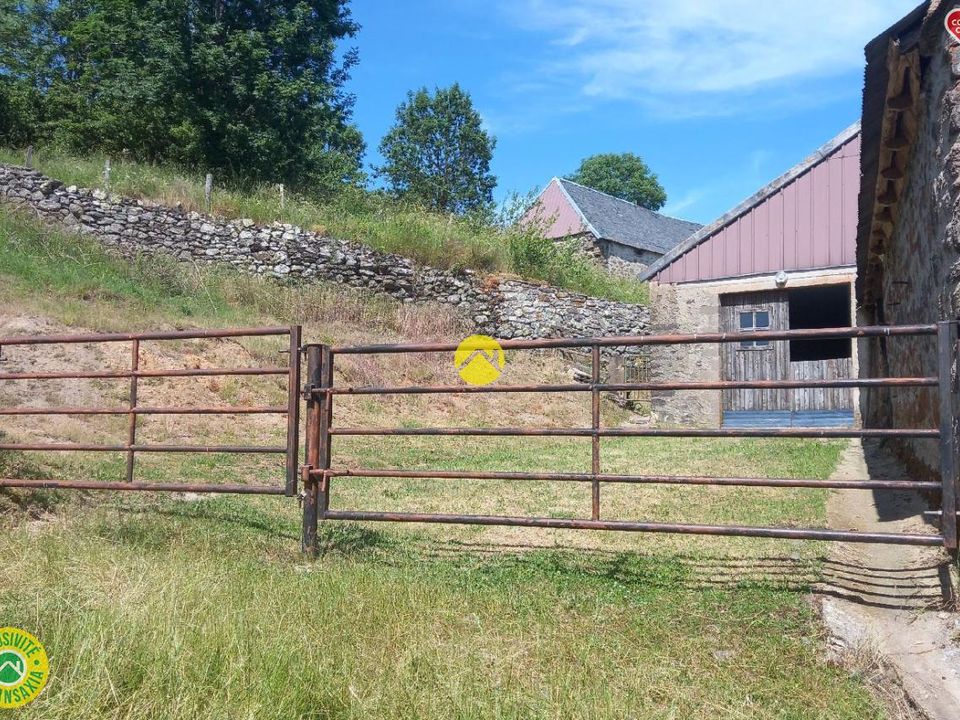 Farm hus i Peyrusse, Cantal - foto 5
