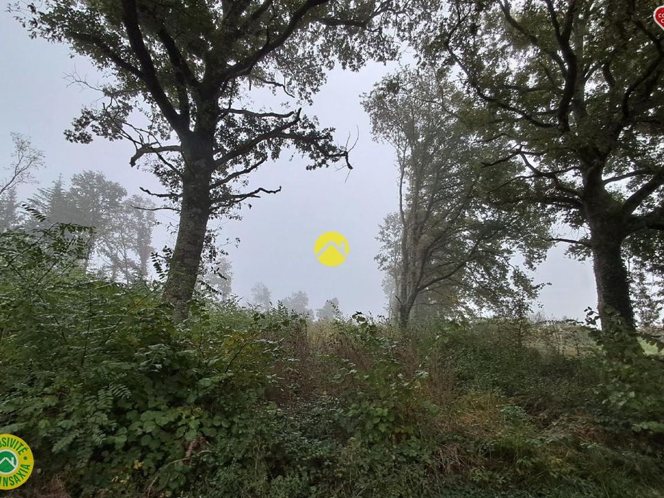 Landejendom i Etaille, Indre - foto 4