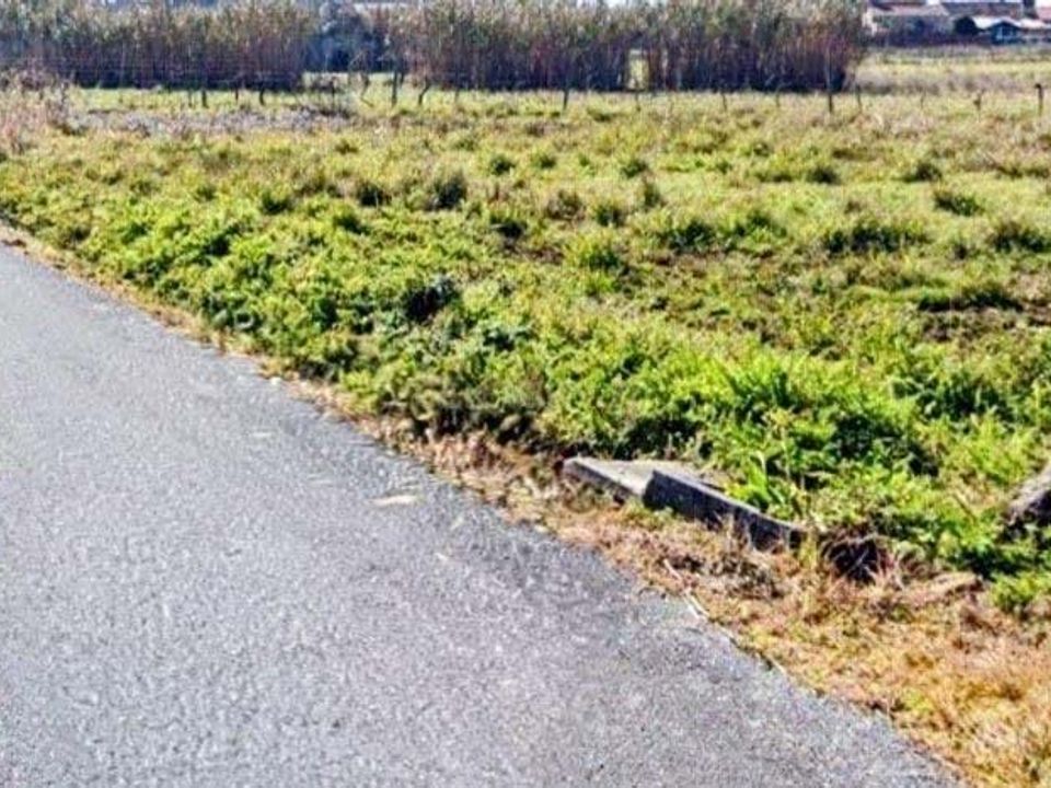 Helårsgrund i Oliveira do Bairro, Aveiro - foto 2