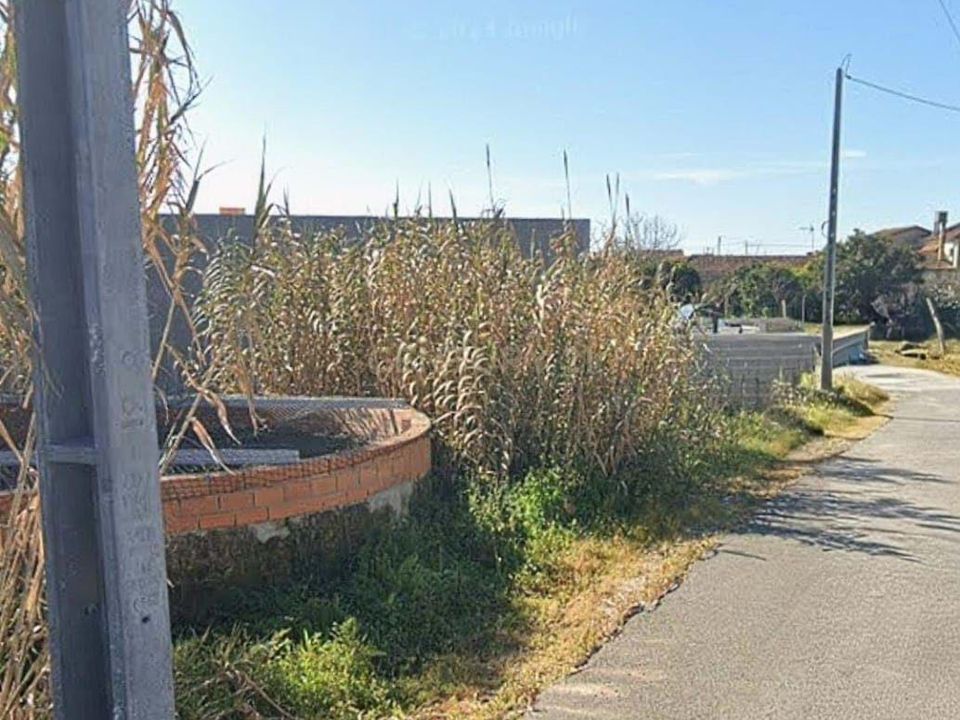 Helårsgrund i Oliveira do Bairro, Aveiro - foto 3