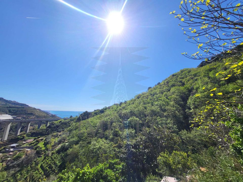 Villa i Ventimiglia, Imperia - foto 3