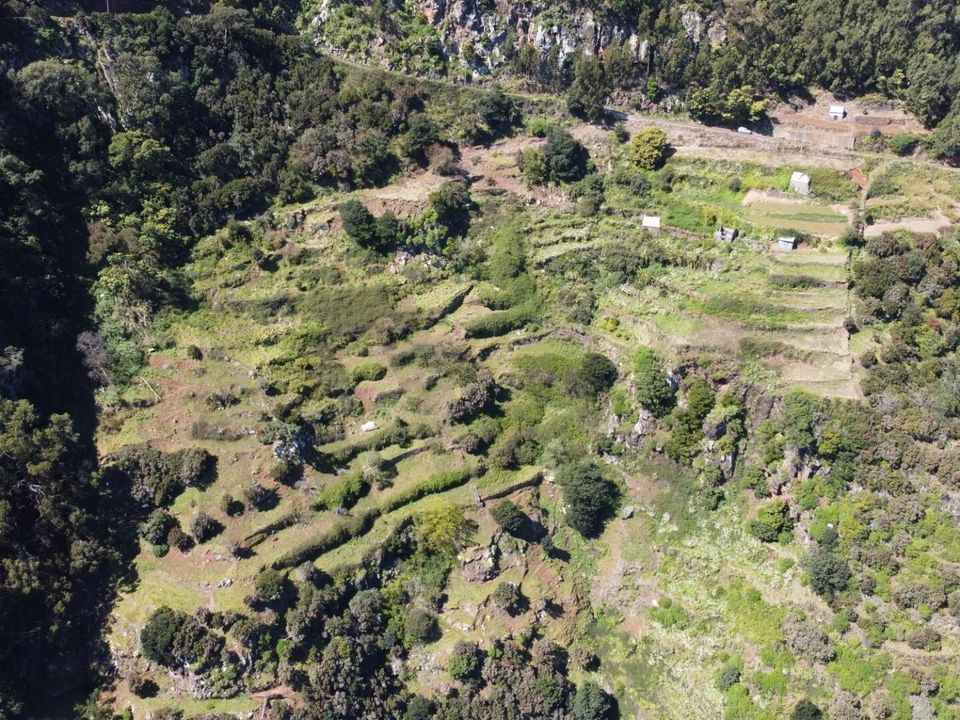 Helårsgrund i Santa Cruz, Madeira - foto 4