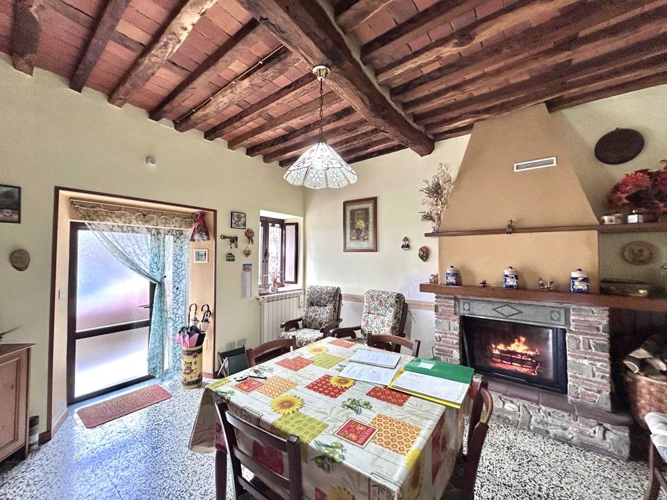 Landejendom i Coreglia Antelminelli, Lucca - foto 5