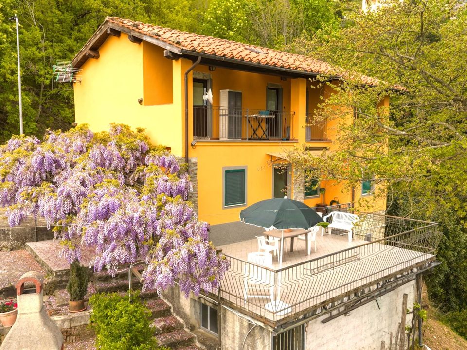 Landejendom i Coreglia Antelminelli, Lucca - foto 2