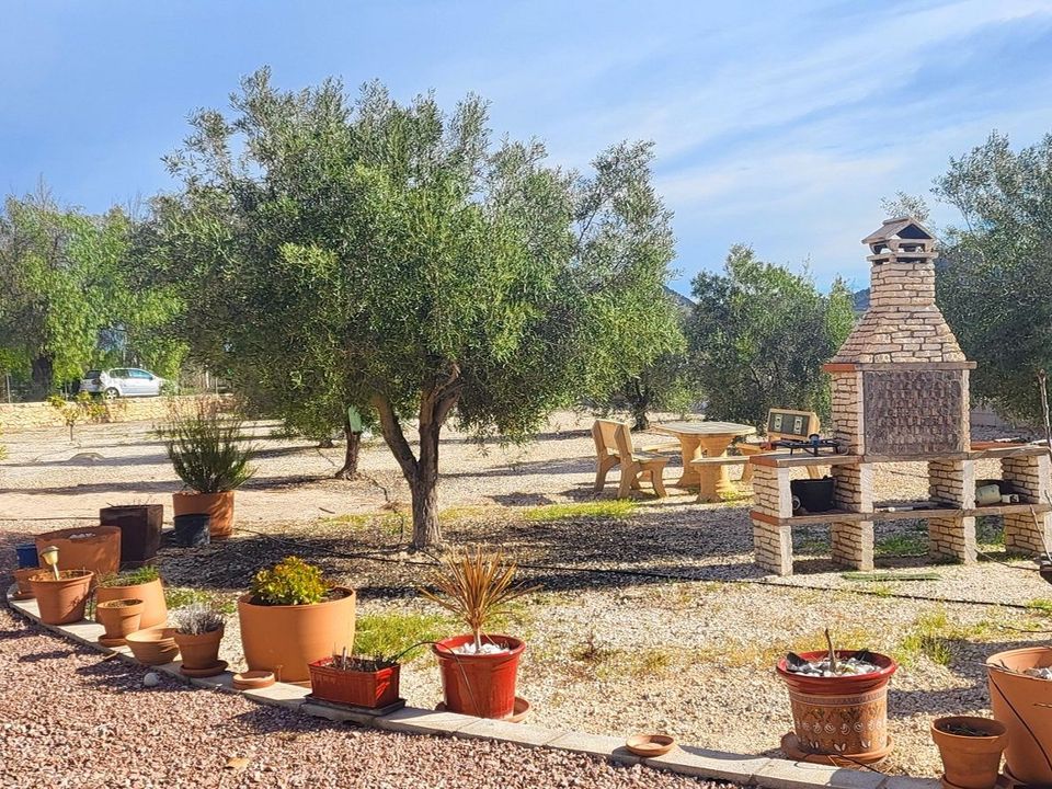 Landejendom i Monovar, Alicante - foto 4