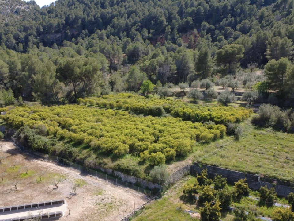 Helårsgrund i Orba, Alicante - foto 2