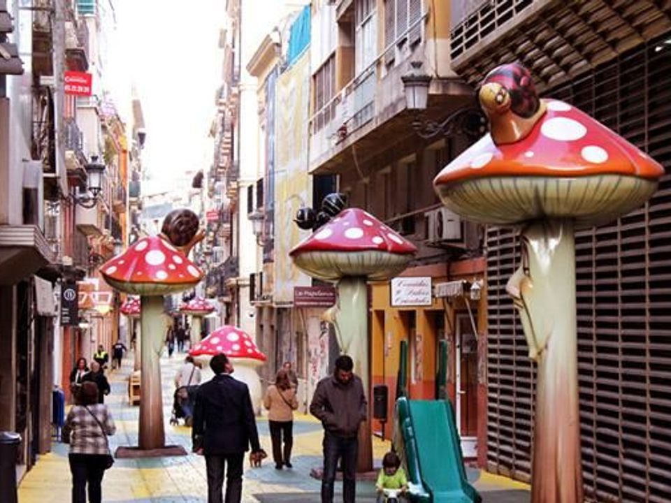 Helårsgrund i Sax, Alicante - foto 5