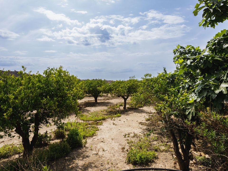 Helårsgrund i Antas, Almeria - foto 5