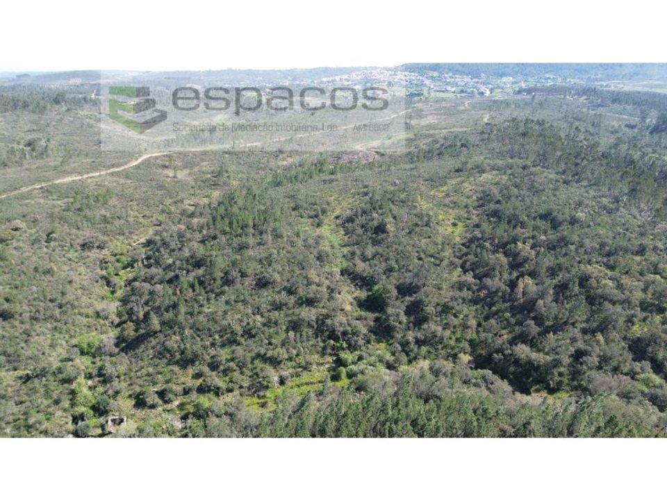 Helårsgrund i Castelo Branco, Castelo Branco - foto 1