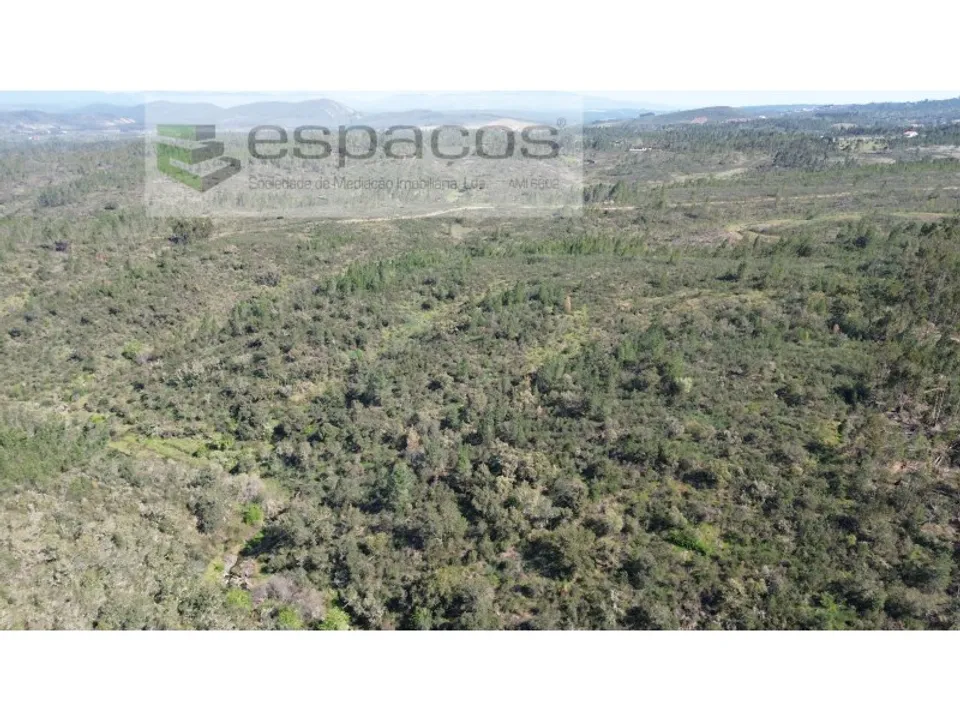 Helårsgrund i Castelo Branco, Castelo Branco - foto 3