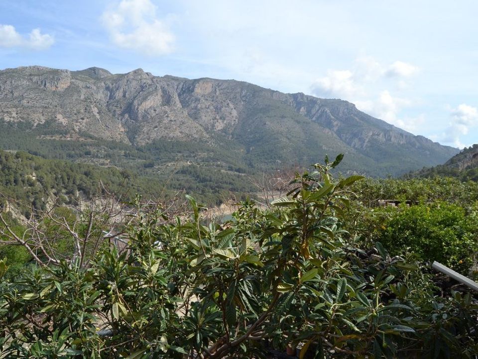 Terra a Beniarda, Alicante - foto 4