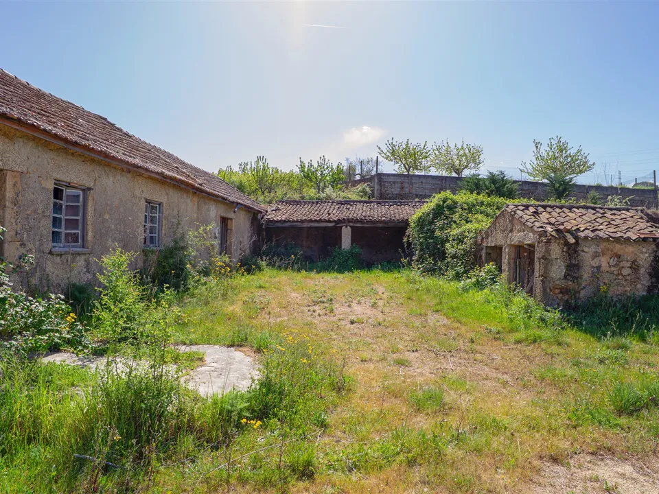 Fattoria Covilha, Castelo Branco - foto 1