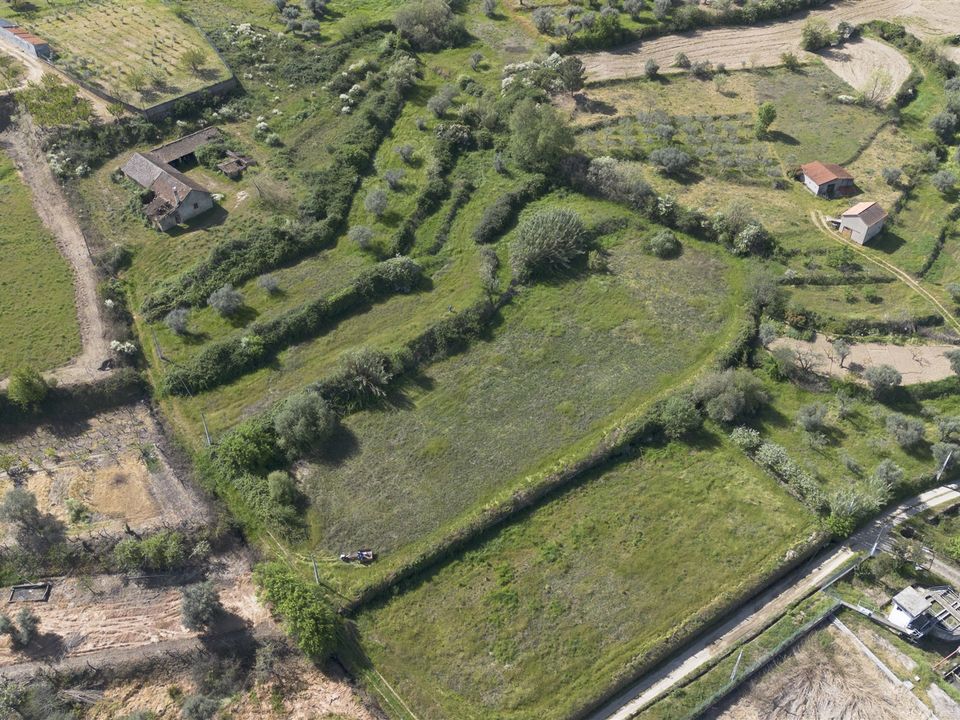 Fattoria Covilha, Castelo Branco - foto 5