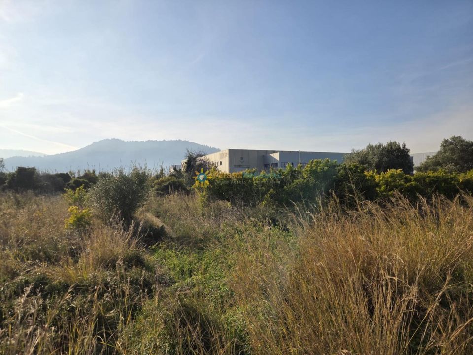 Tomt i Rafelcofer, Valencia - bilde 2