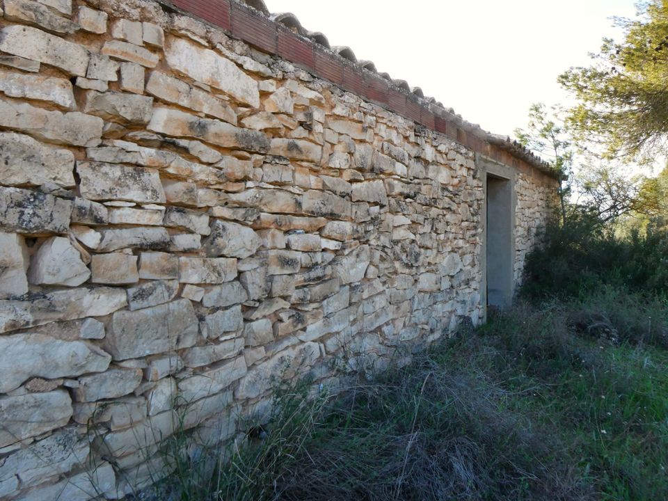 Finca i Mequinenza, Zaragoza - foto 4